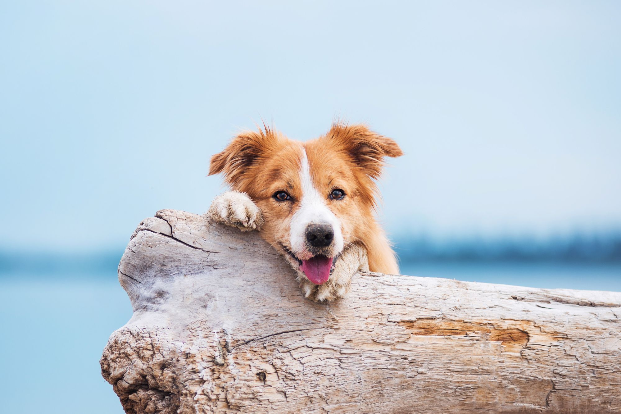 AdobeStock_167244463-hero